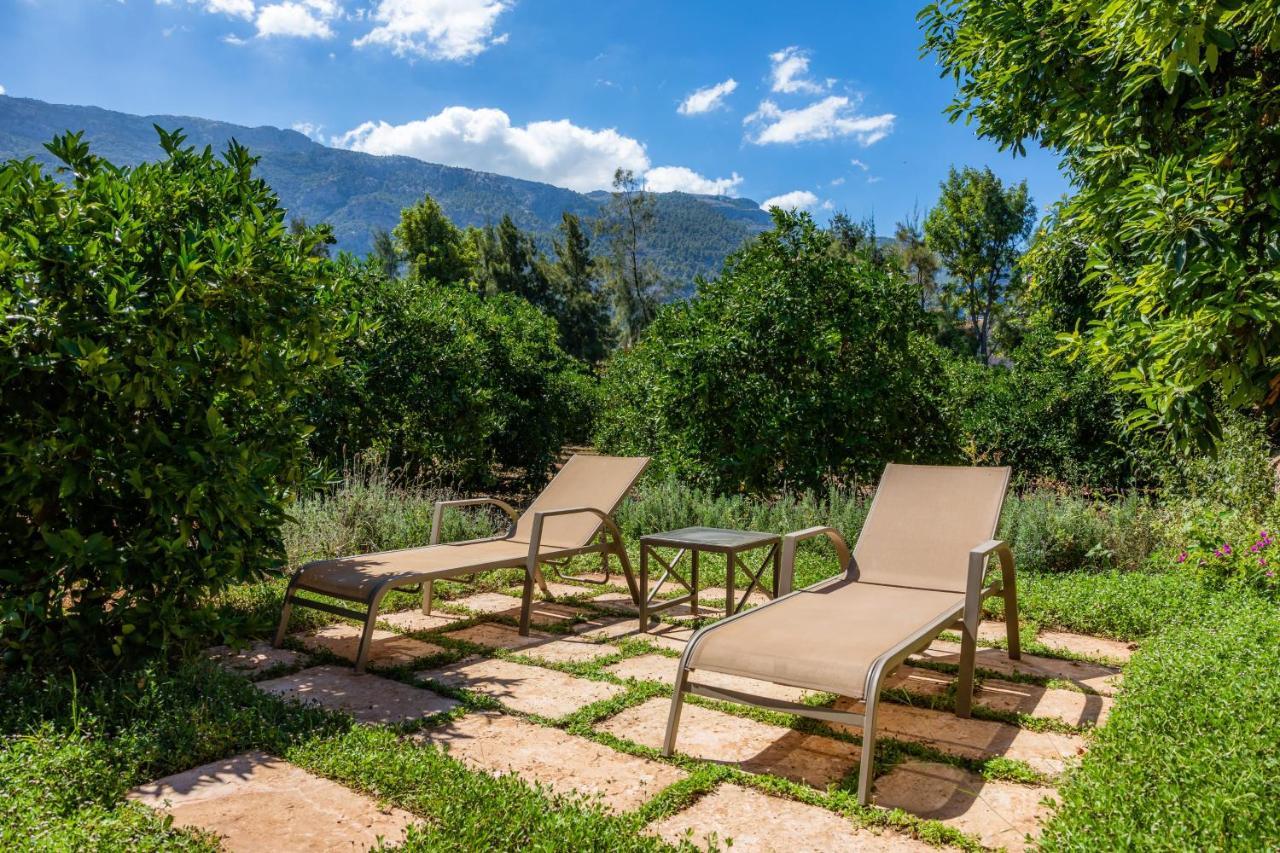 Finca Ca'S Curial - Agroturismo - Adults Only Sóller Eksteriør billede