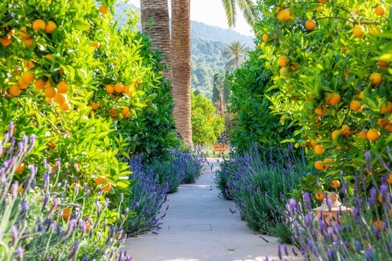 Finca Ca'S Curial - Agroturismo - Adults Only Sóller Eksteriør billede