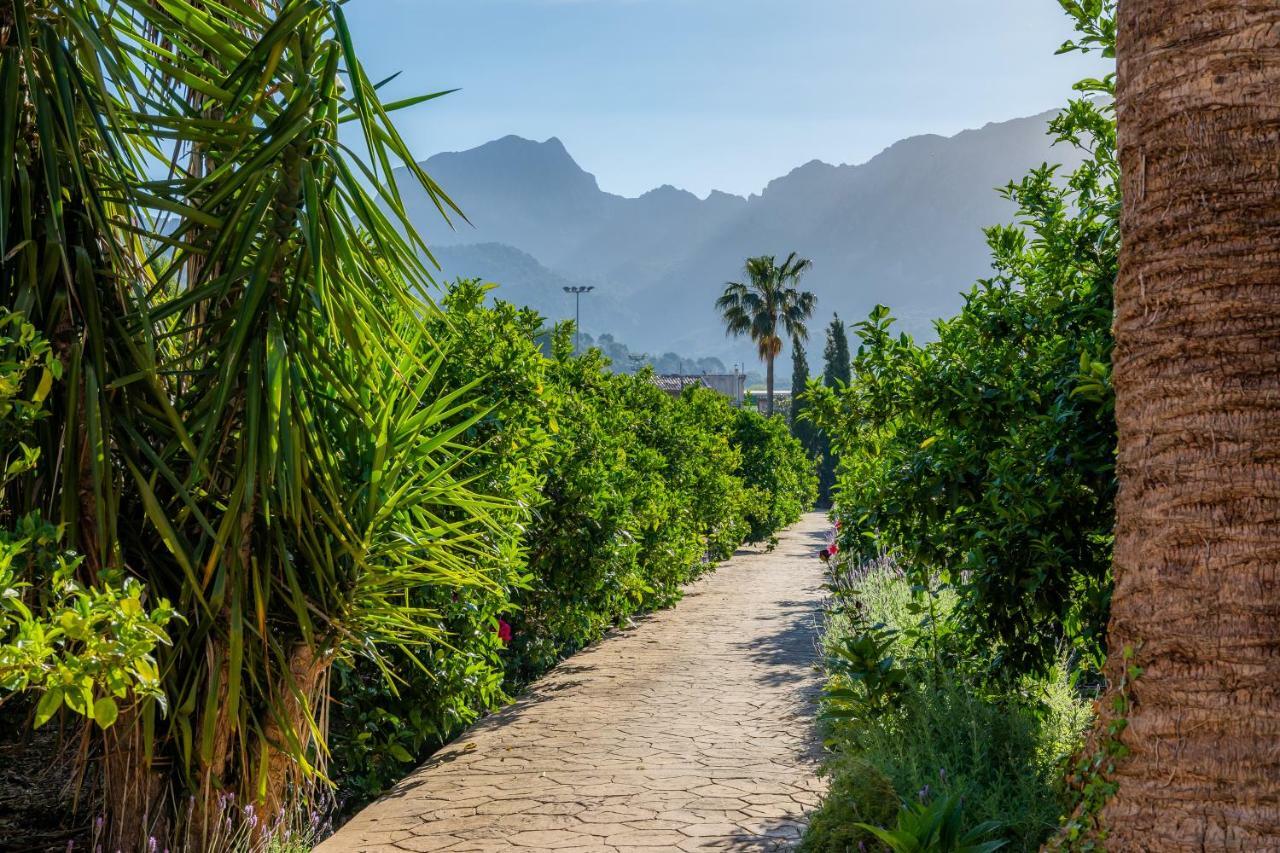 Finca Ca'S Curial - Agroturismo - Adults Only Sóller Eksteriør billede
