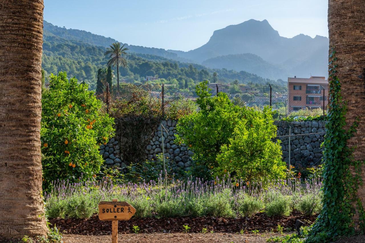 Finca Ca'S Curial - Agroturismo - Adults Only Sóller Eksteriør billede