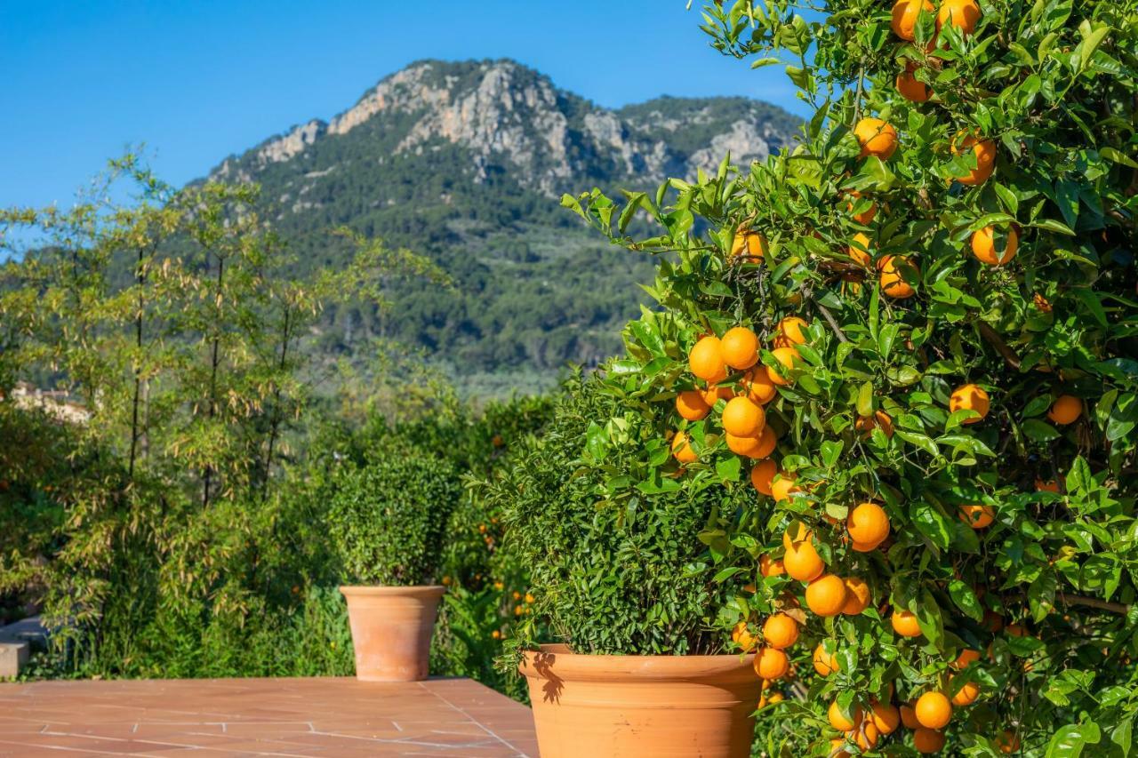 Finca Ca'S Curial - Agroturismo - Adults Only Sóller Eksteriør billede